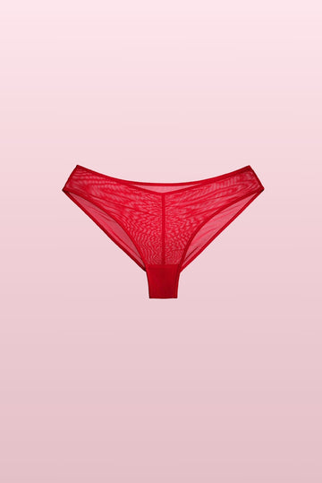 Fiery Red Basic Low Rise Knicker
