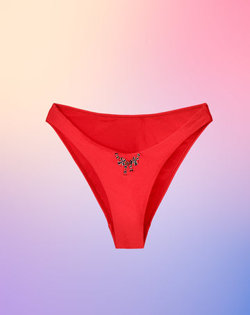 Risky Game Swimsuit Bikini Knickers